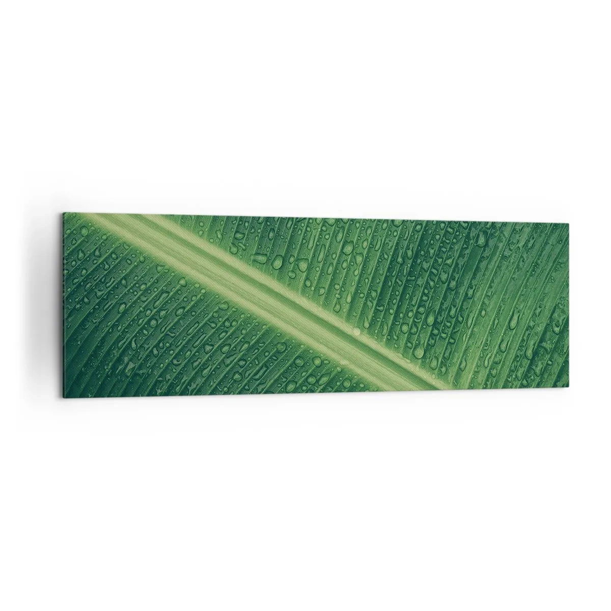 Canvas picture - Structure of Green - 160x50 cm