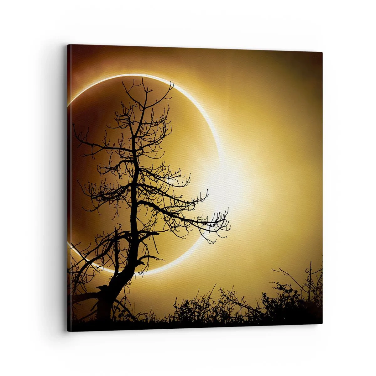 Canvas picture - Total Eclipse - 70x70 cm