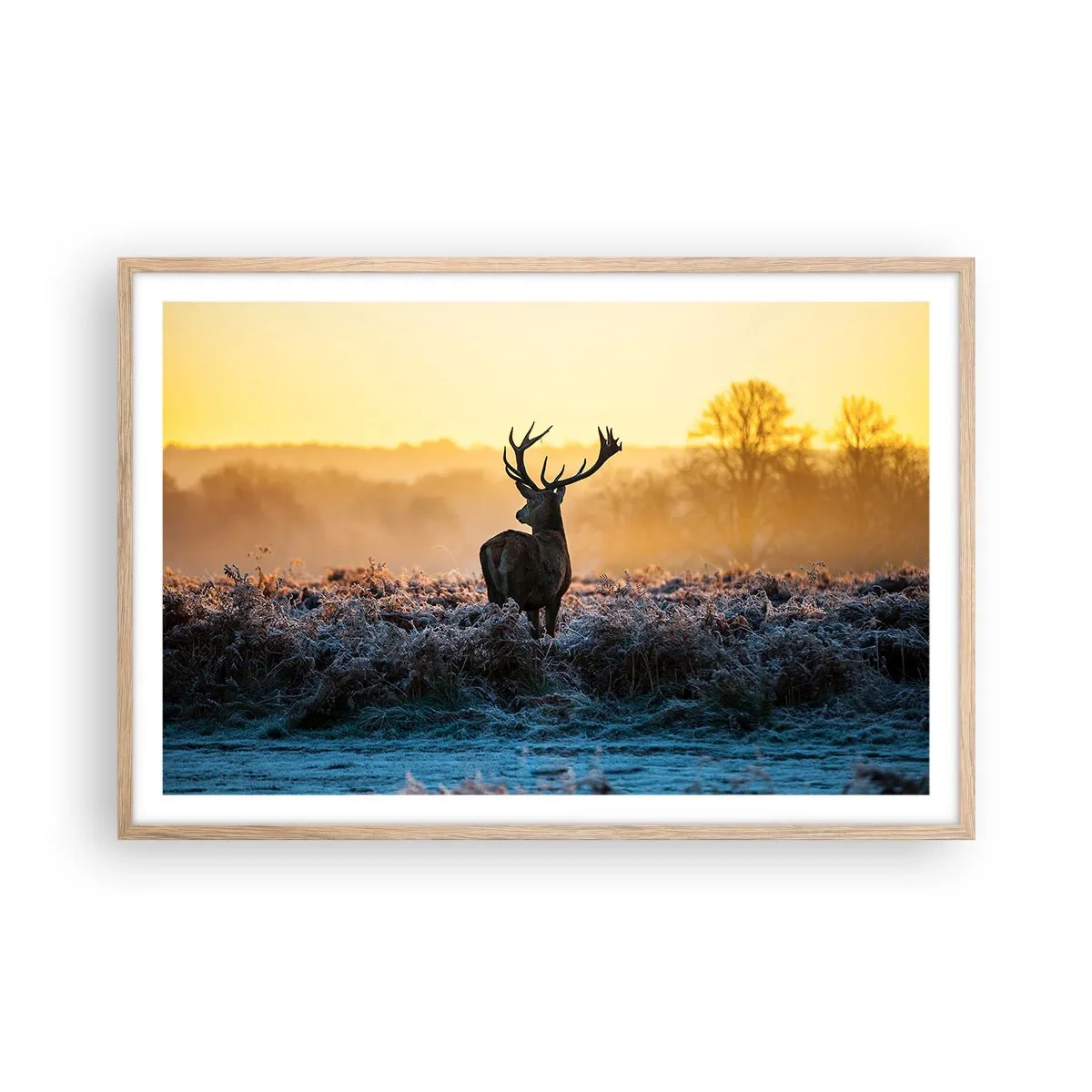 Poster in light oak frame - Crowned in Its Kingdom - 91x61 cm