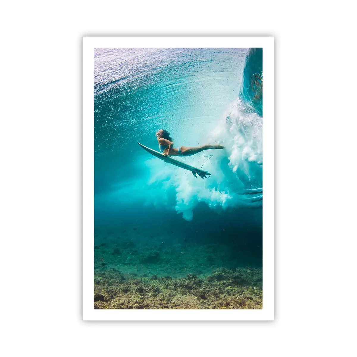 Poster - Undewater World - 61x91 cm