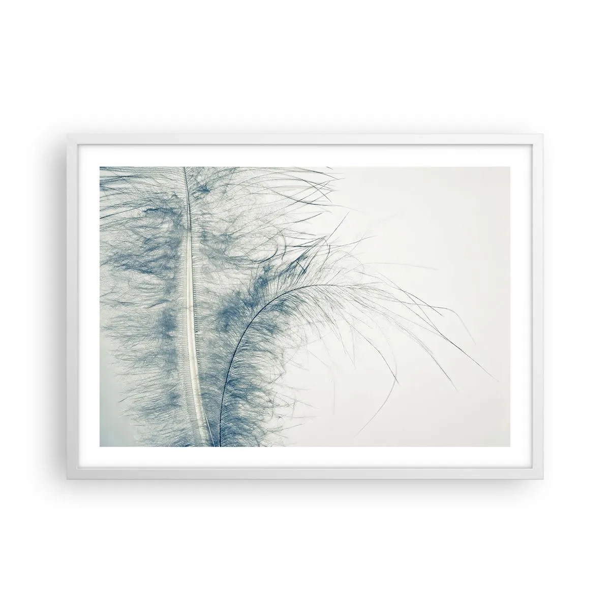 Poster in white frmae - Whisper of Nature - 70x50 cm
