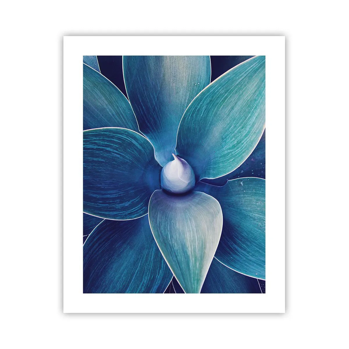 Poster - Blue from the Sky - 40x50 cm