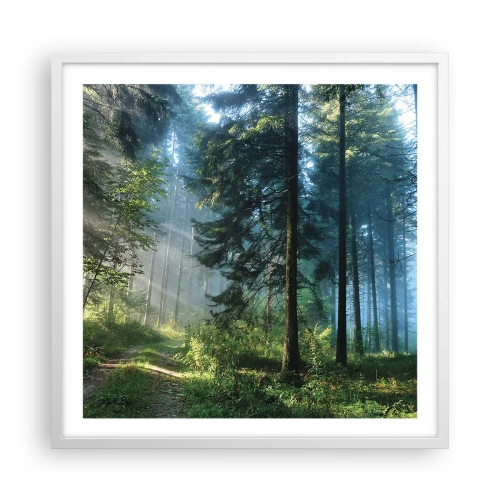 Poster in white frmae - Radiant at Dawn - 60x60 cm