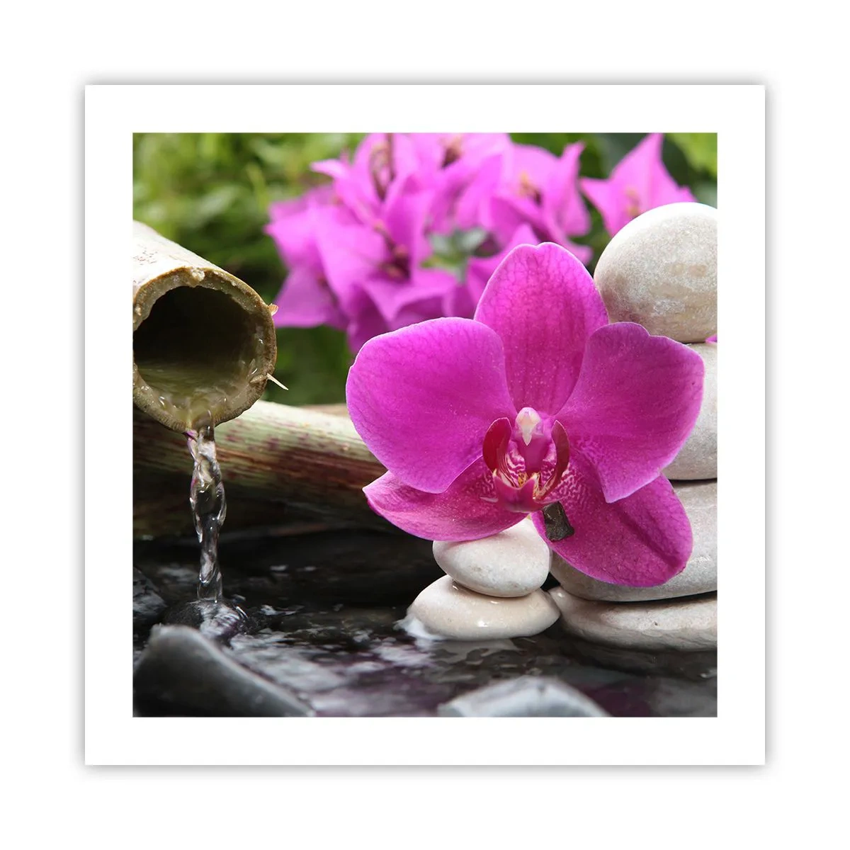 Poster - You Are Already Resting - 50x50 cm