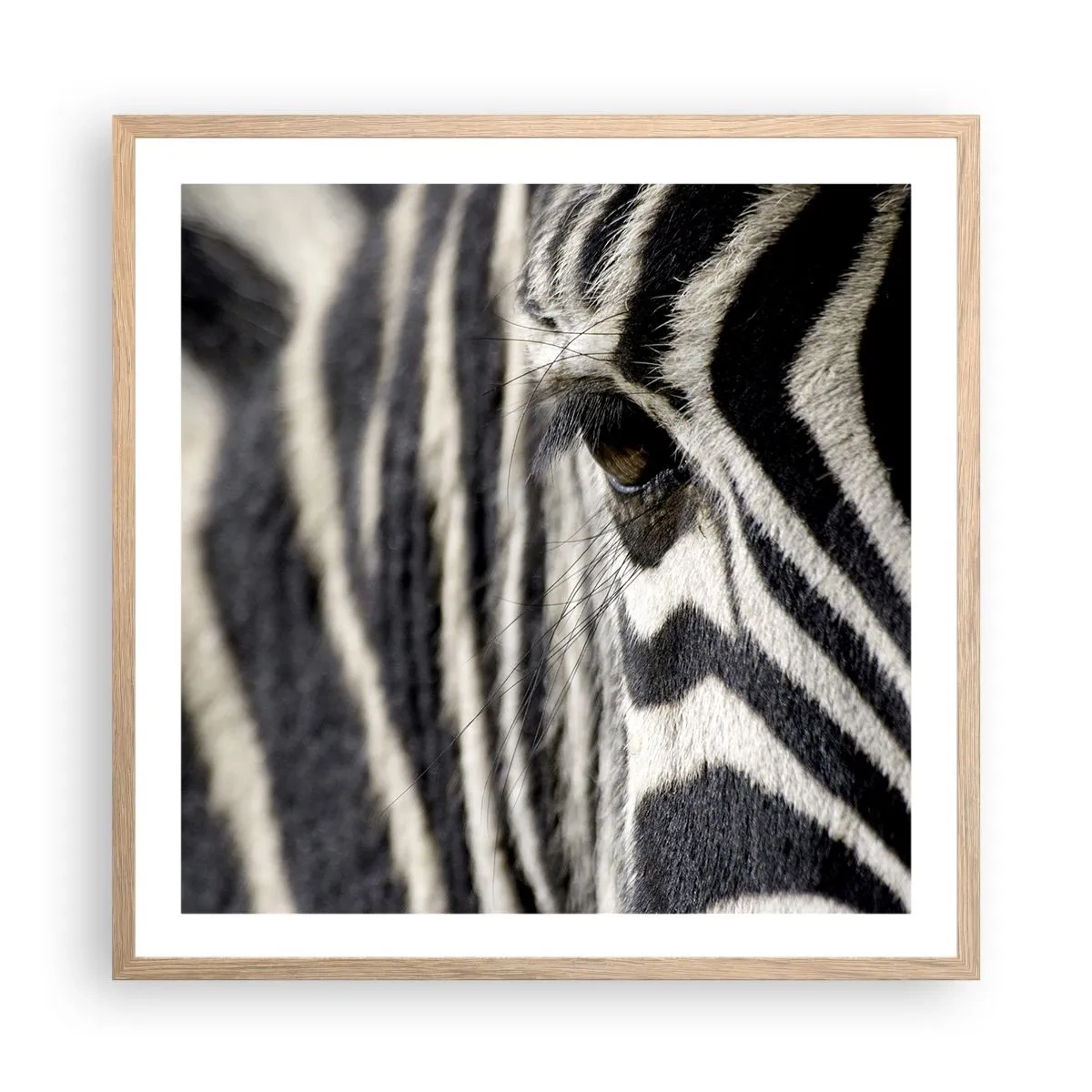 Poster in light oak frame - Striped Portrait - 60x60 cm