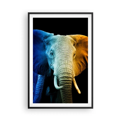 Poster in black frame - Eccentric, Not a Weirdo - 61x91 cm