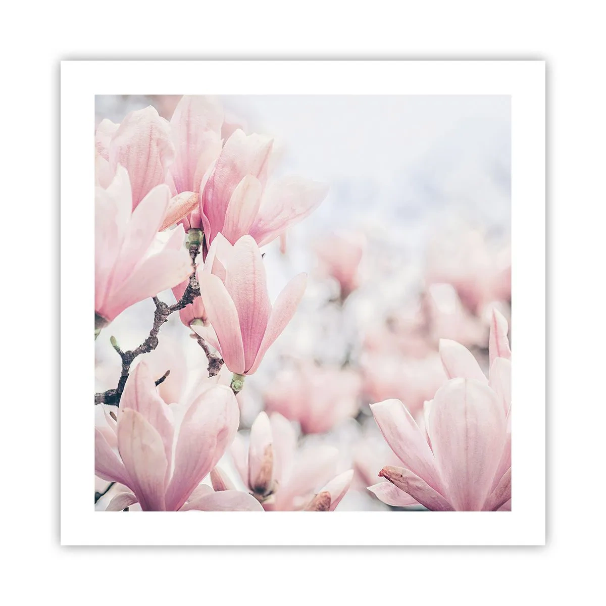 Poster - Ideal of Subtlety - 50x50 cm