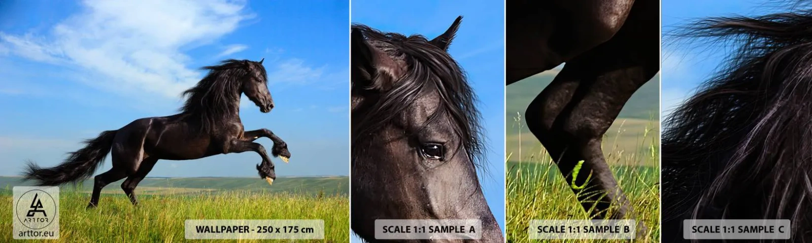 Photo Wallpaper Sample Self-Adhesive Deluxe Sticker - Thrilling Manifesto of Freedom - Animals, Horse, Landscape - 100x30 cm