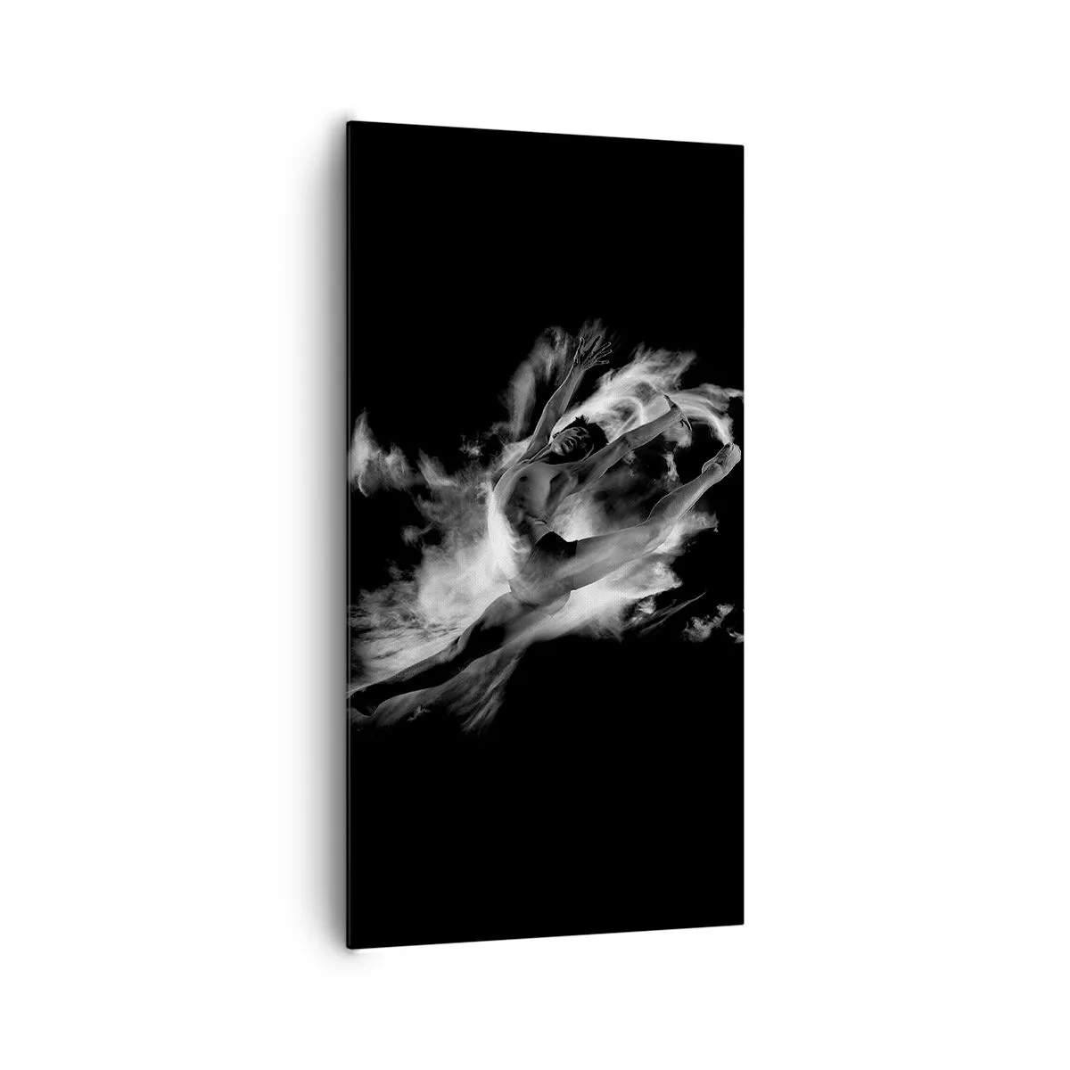 Canvas picture - Stopped i in Flight - 65x120 cm