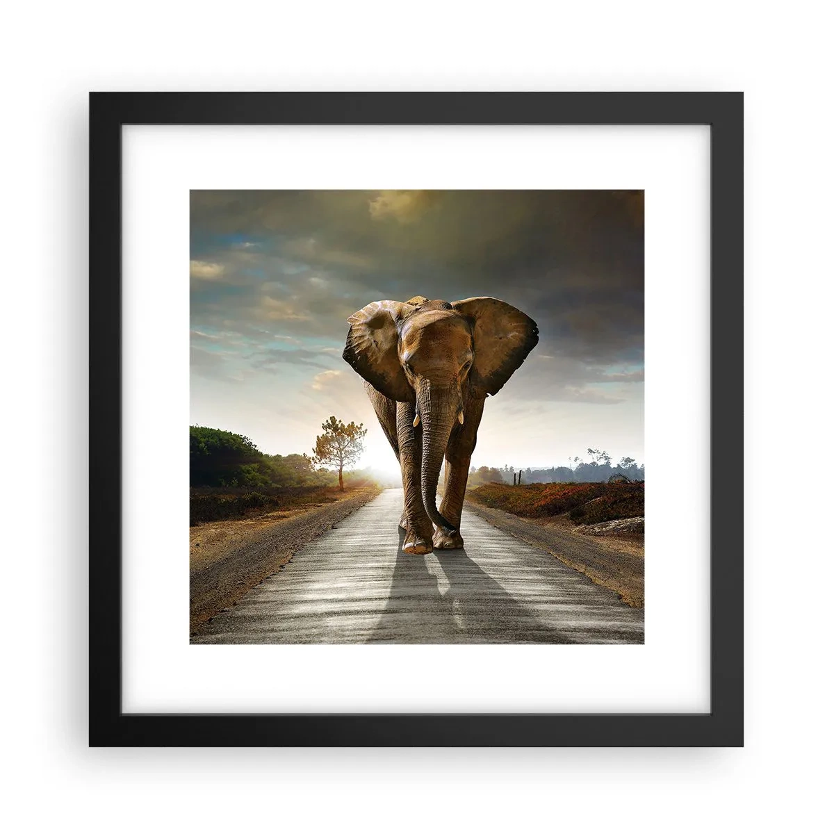 Poster in black frame - Not in a China Shop - 30x30 cm