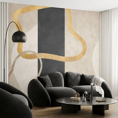 Photo Wallpaper Premium Canvas - Shapes in Loops - Art Deco, Minimalism, Abstractionism - 350x256 cm