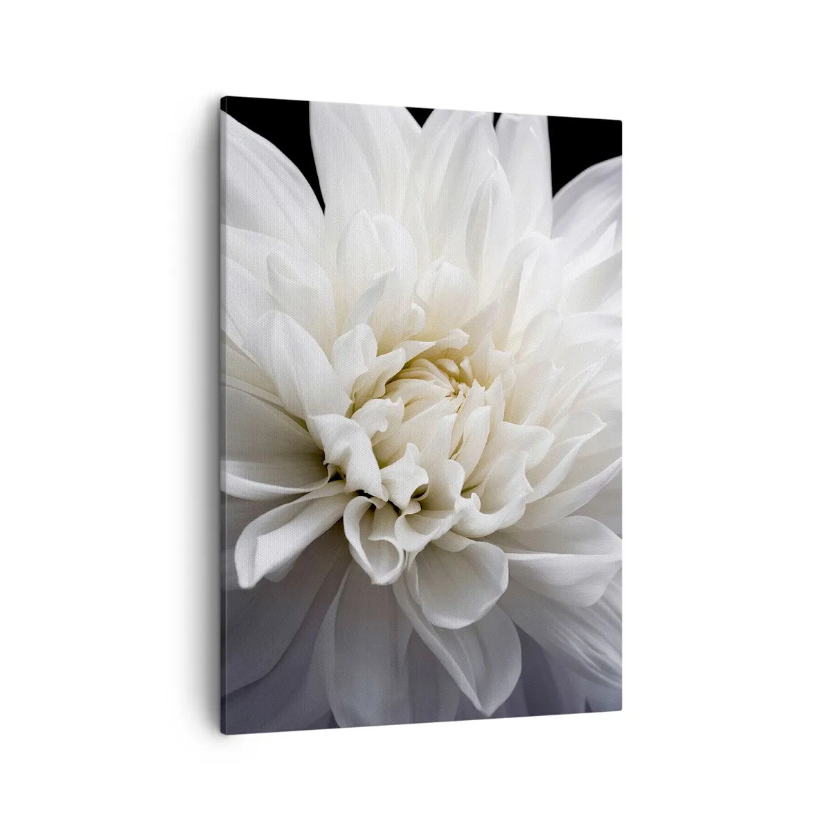 Canvas picture - Bride's Morning - 50x70 cm