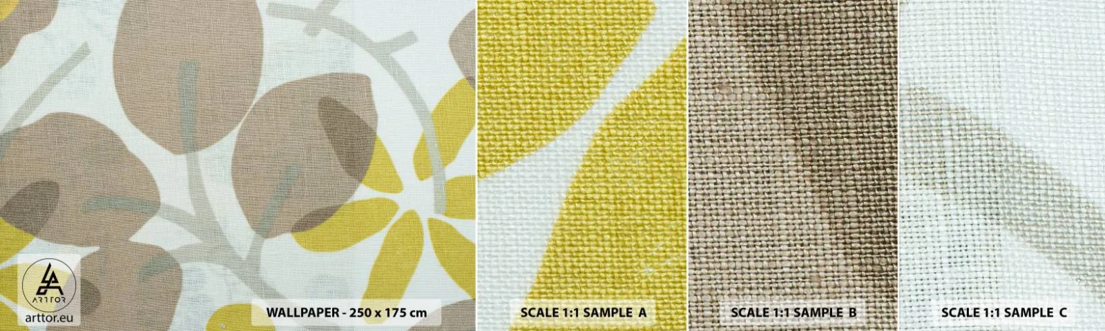 Photo Wallpaper Sample Self-Adhesive Deluxe Sticker - Composition in Full Sunlight - Boho, Flowers, Minimalism - 100x30 cm