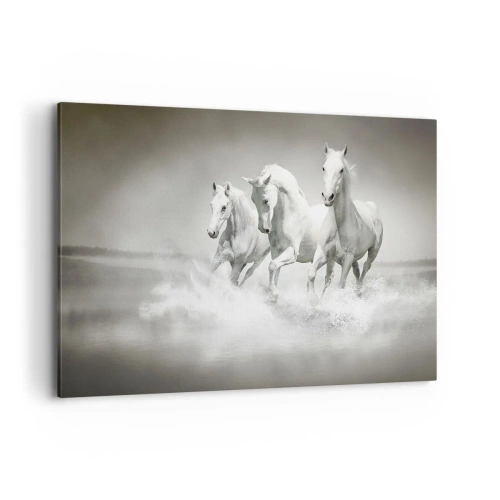 Canvas picture - White Madness - 120x80 cm