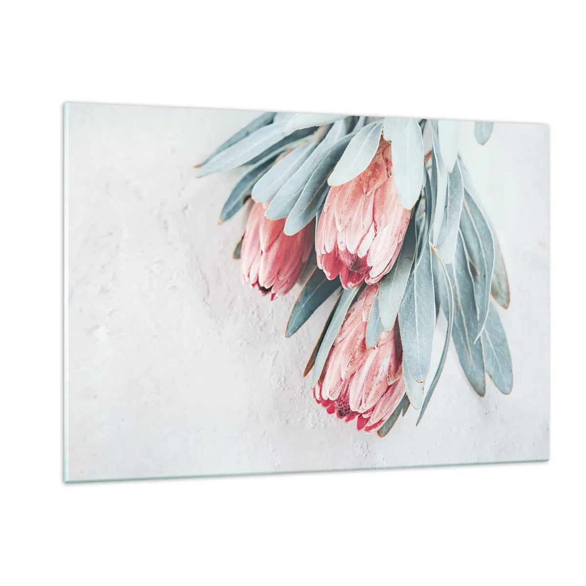 Glass picture - Ashamed of Their Own Beauty - 120x80 cm