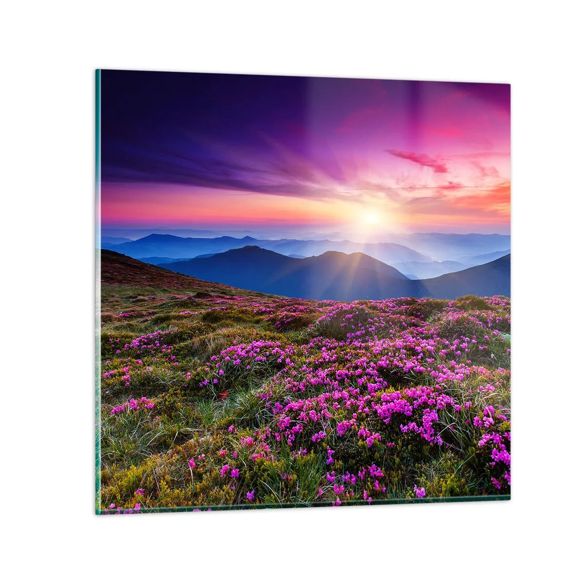 Glass picture - Smells Strongly of Herbs - 50x50 cm