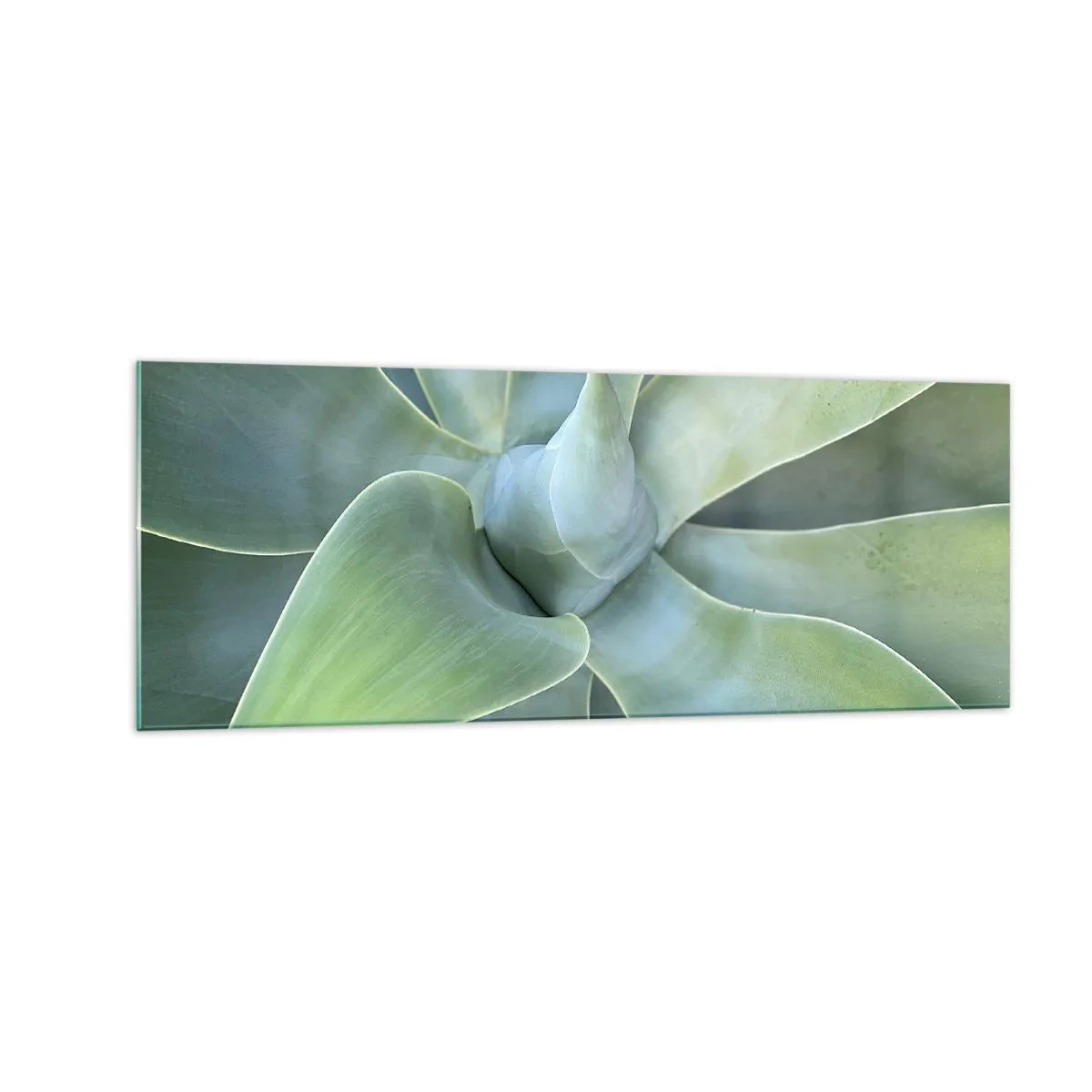 Glass picture - Birth of Green - 140x50 cm