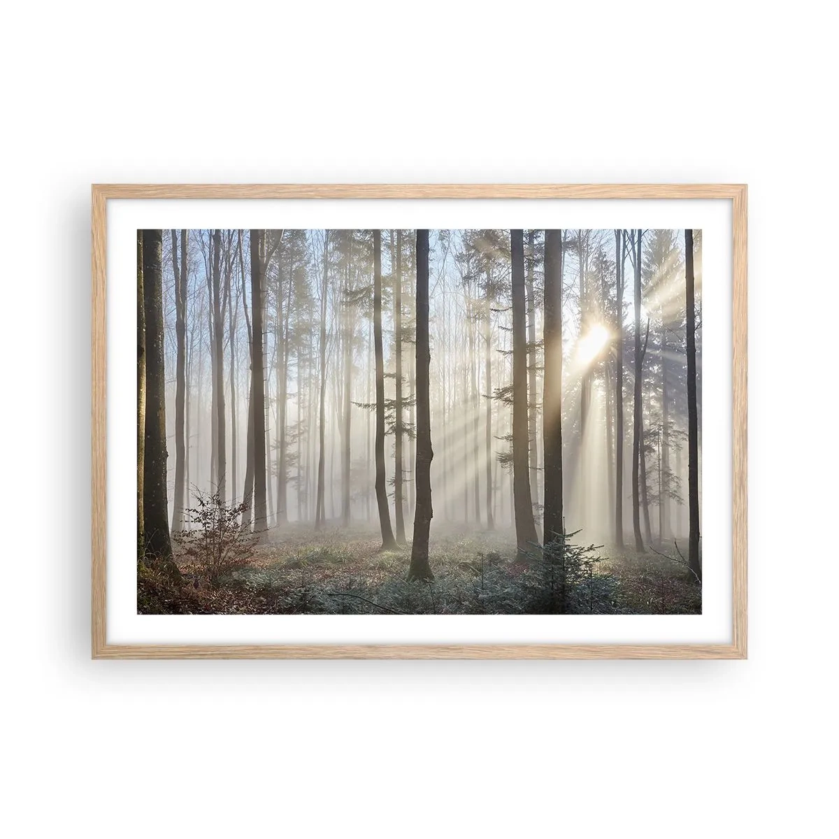 Poster in light oak frame - Fog Has Woken up Too - 70x50 cm