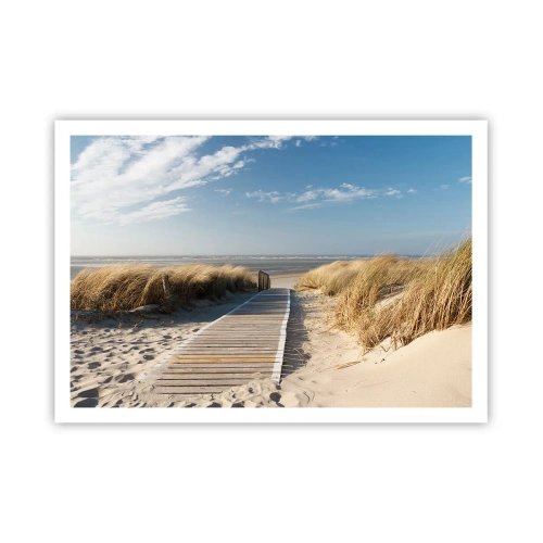 Poster - Behind a Dune, in the Hum of Trees - 100x70 cm