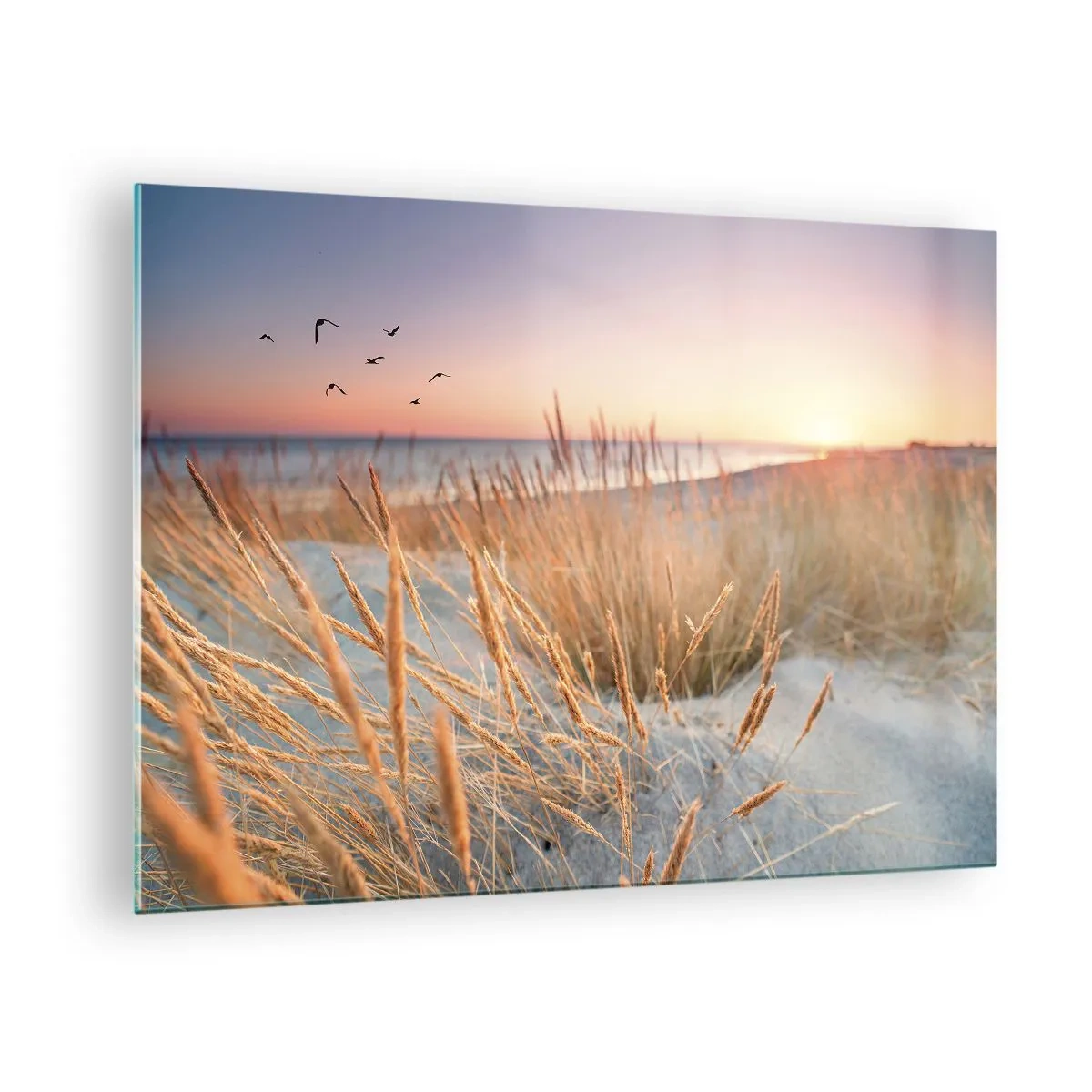 Glass picture - A beach with grass and the sun setting over the sea - 70x50cm - Baltic Lullaby - Modern wall decoration for the living room and bedroom ARTTOR