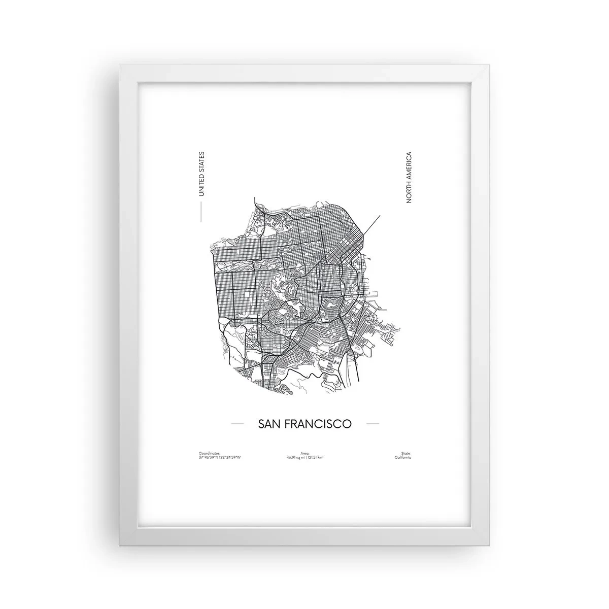Poster in white frmae - Anatomy of San Francisco - 30x40 cm