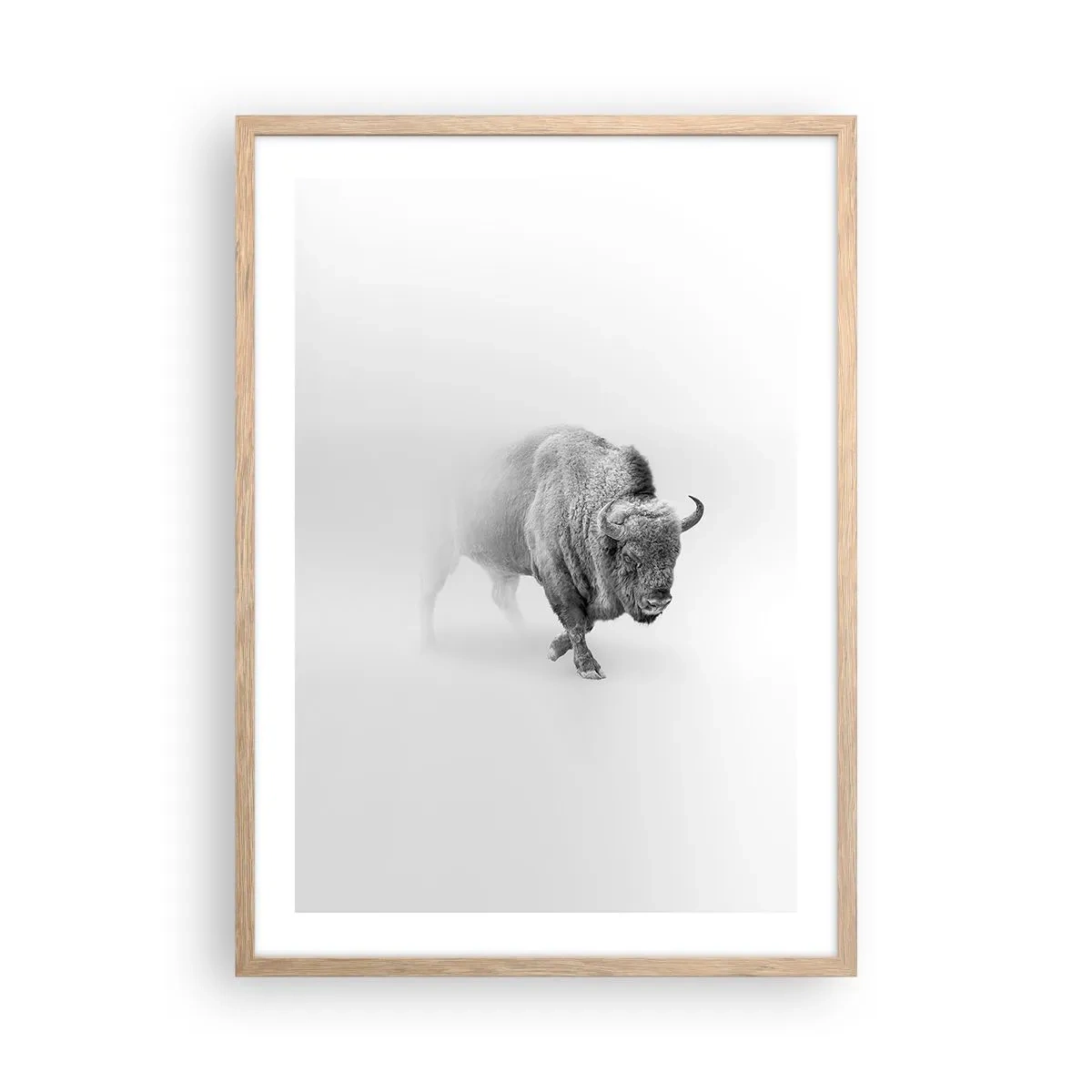 Poster in light oak frame - King of the Prairie - 50x70 cm