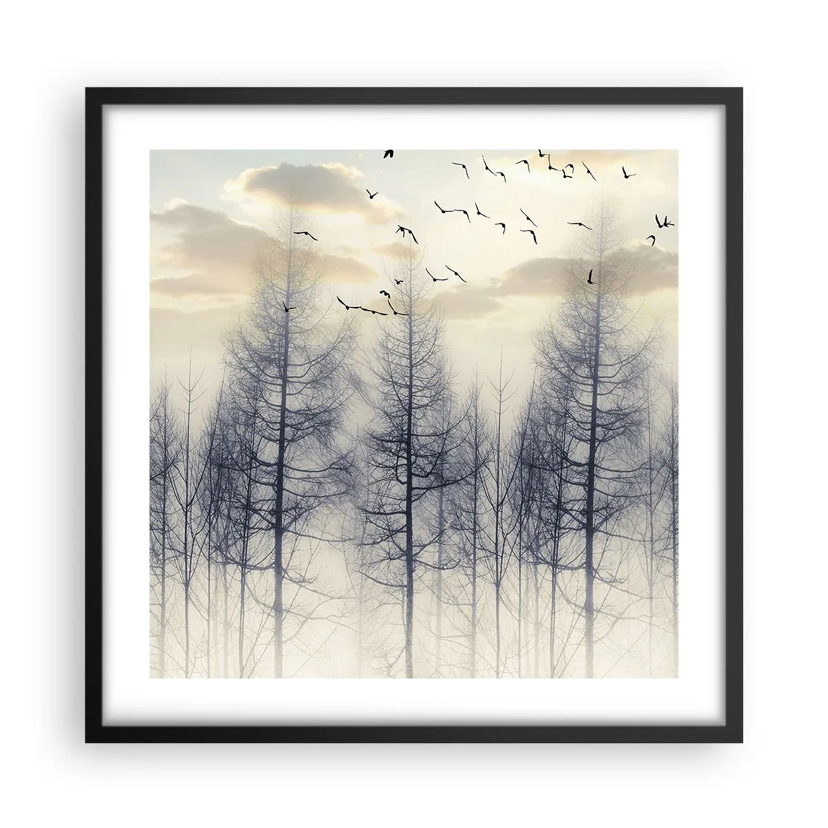 Poster in black frame - Spirits of the Forest - 50x50 cm
