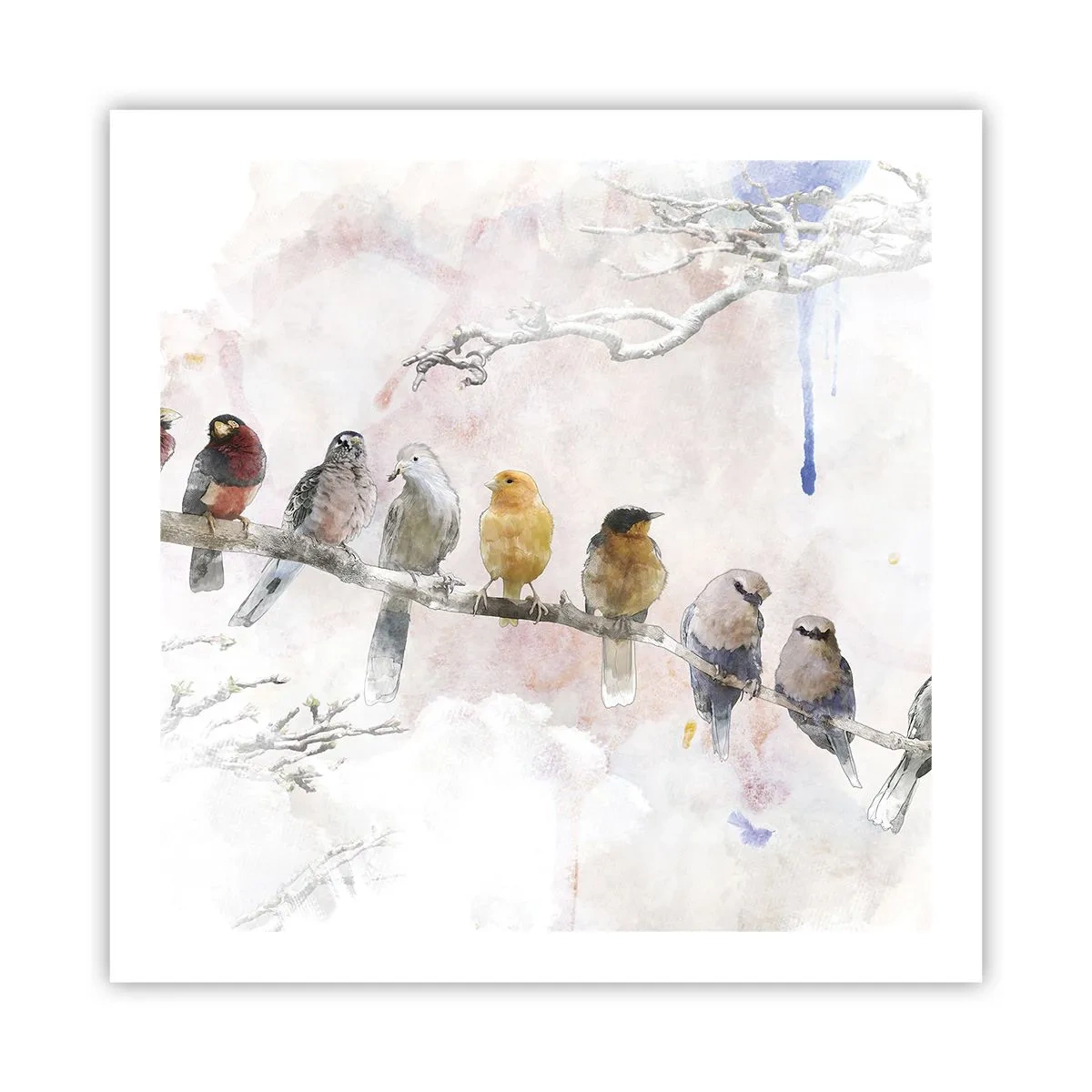 Poster - Winged Encounter - 60x60 cm