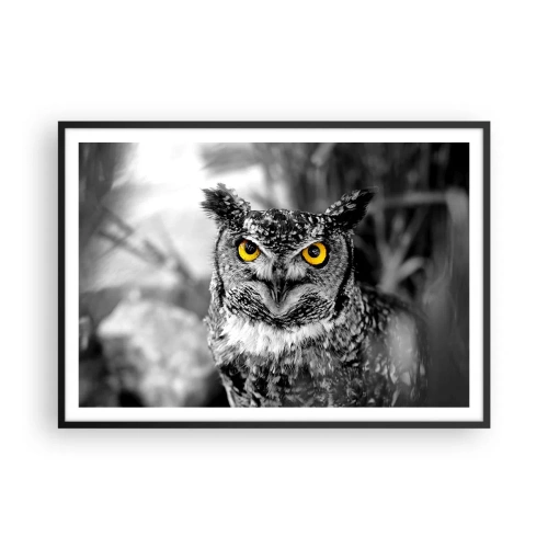 Poster in black frame - Nothing Can Hide - 100x70 cm