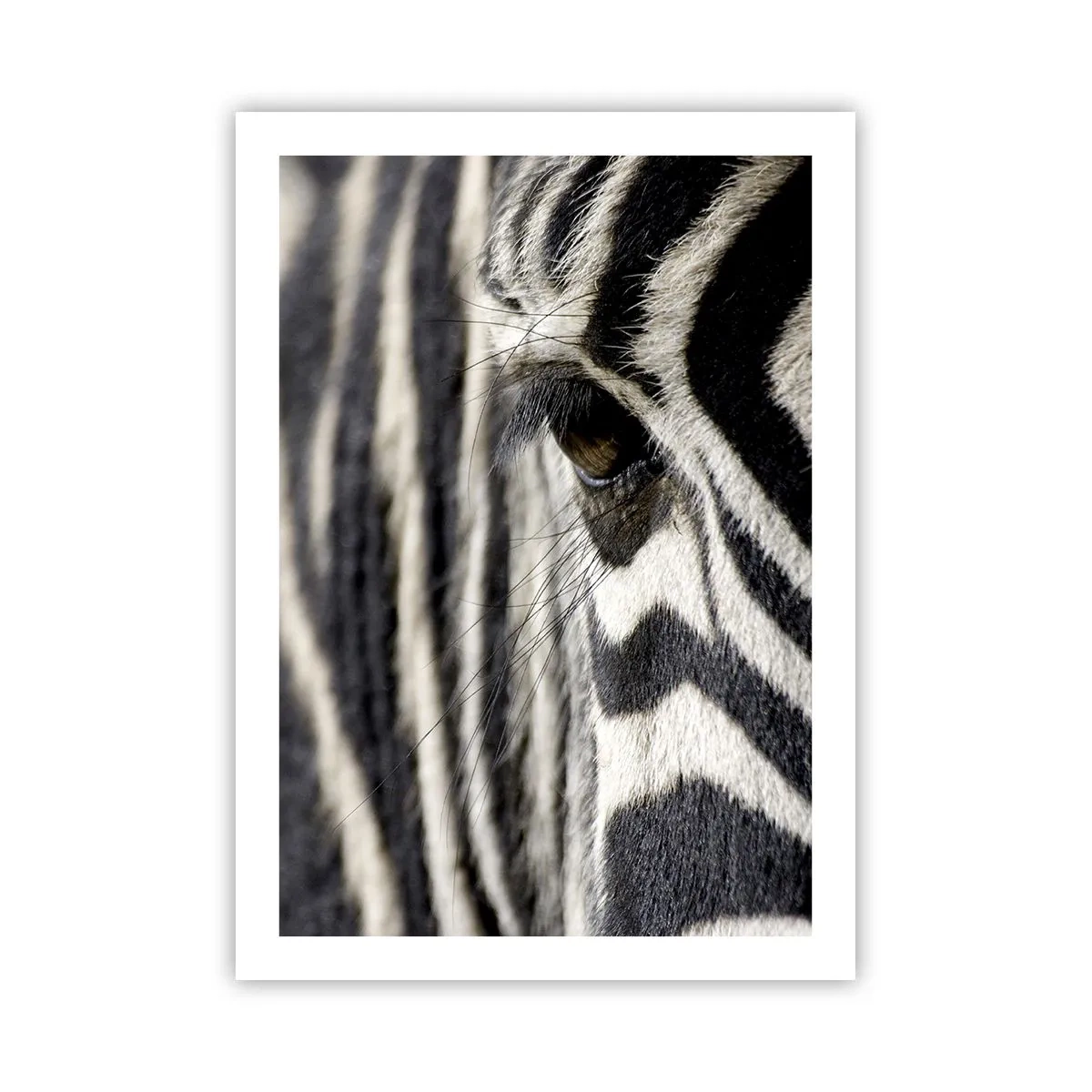 Poster - Striped Portrait - 50x70 cm