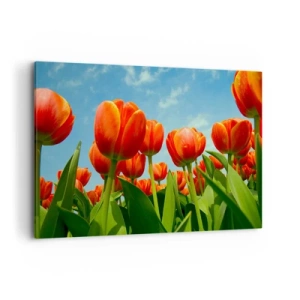 Canvas picture - Blue Sky Is All They Need - 100x70 cm