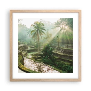 Poster in light oak frame - Maturing in the Sun - 40x40 cm