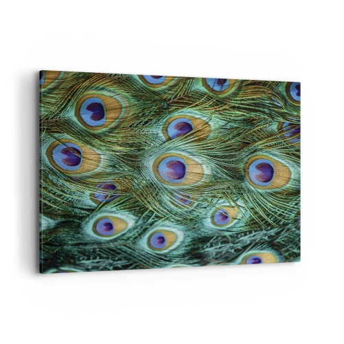 Canvas picture - Peacock Eyes - 120x80 cm