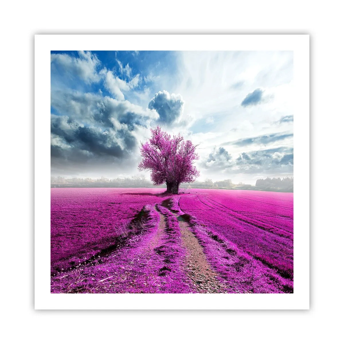 Poster - Heathland Charm - 60x60 cm