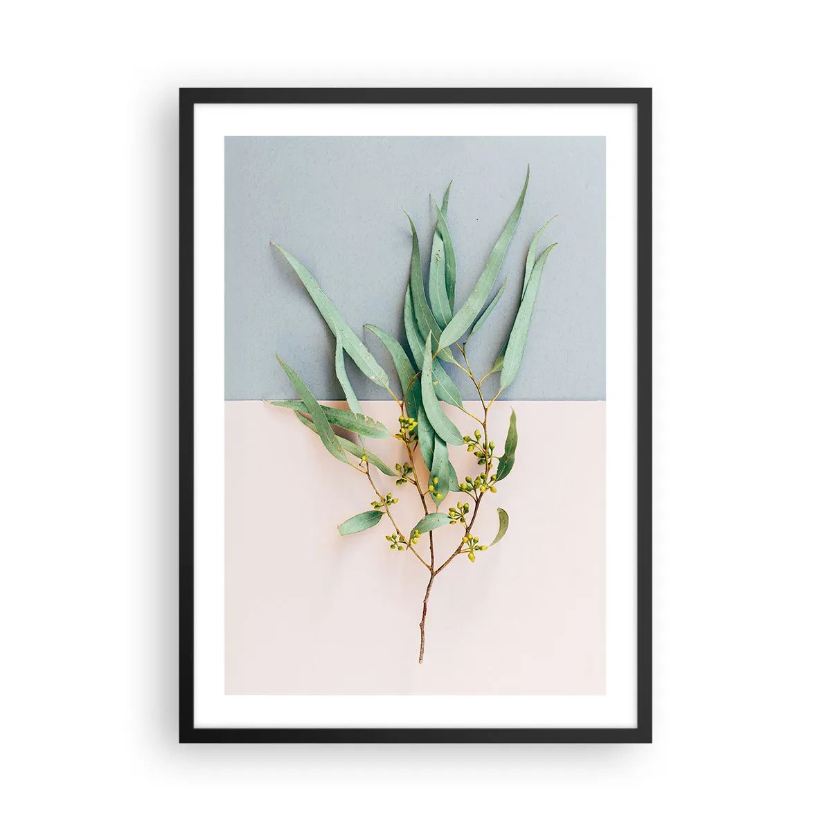 Poster in black frame - A sprig of eucalyptus on a pastel background - 50x70cm - Pastel Subtlety - Modern wall decoration for the living room and bedroom ARTTOR