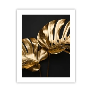 Poster - Tresaures of Nature - 40x50 cm