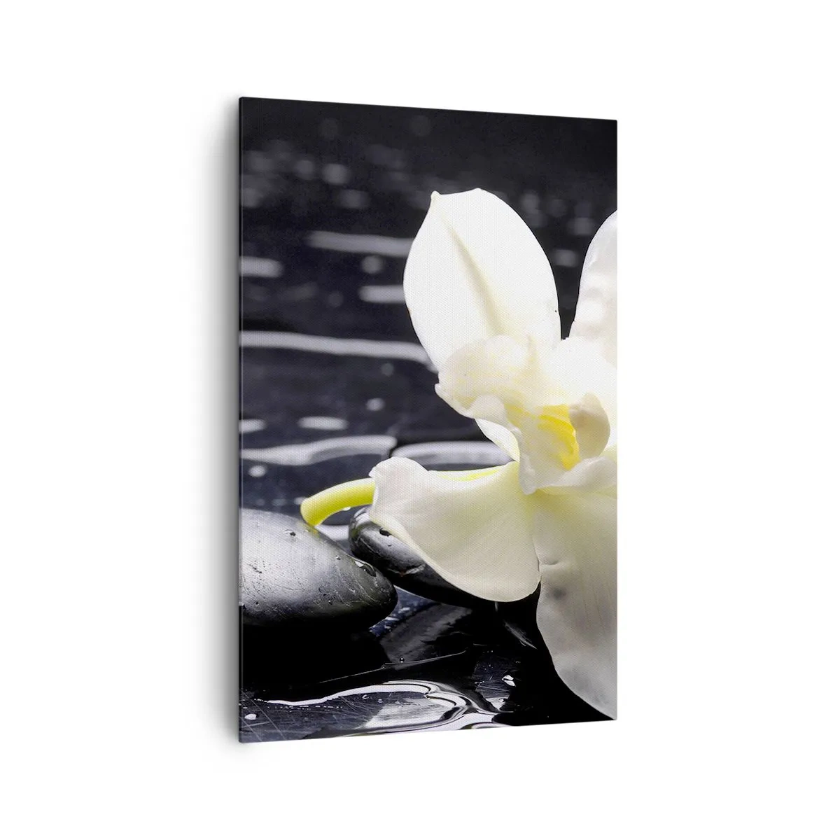 Canvas picture - Study in Black and White - 80x120 cm