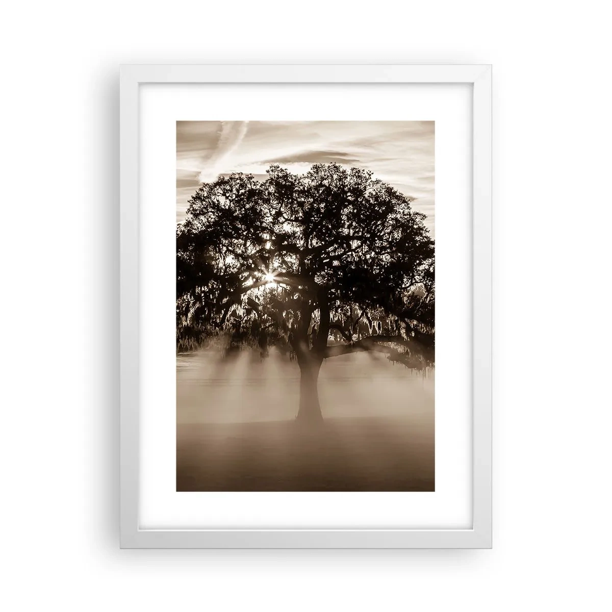 Poster in white frmae - Tree of Good Knowledge - 30x40 cm