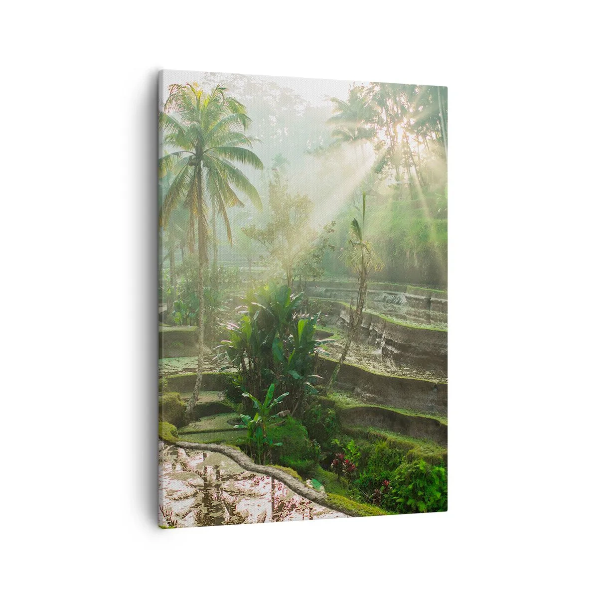 Canvas picture - Maturing in the Sun - 50x70 cm