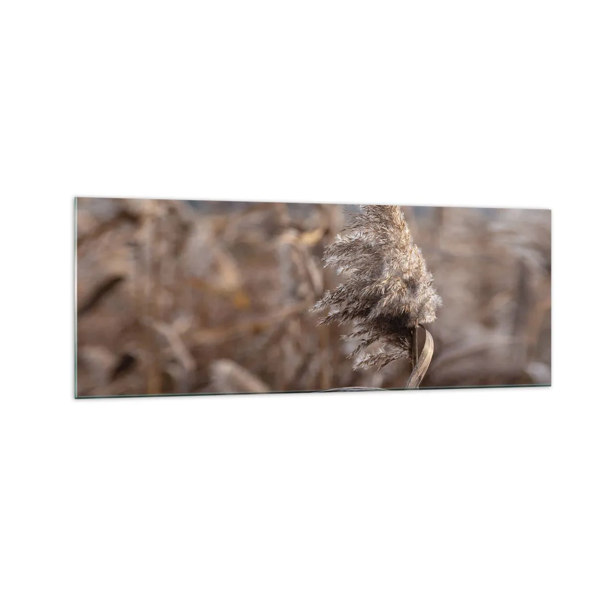 Glass picture - Time to Fly with the Wind - 140x50 cm