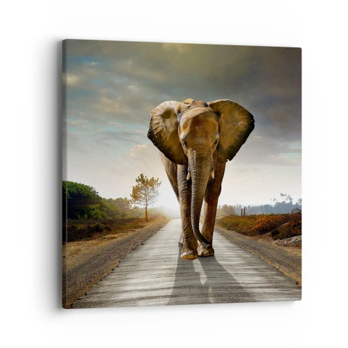Canvas picture - Not in a China Shop - 40x40 cm