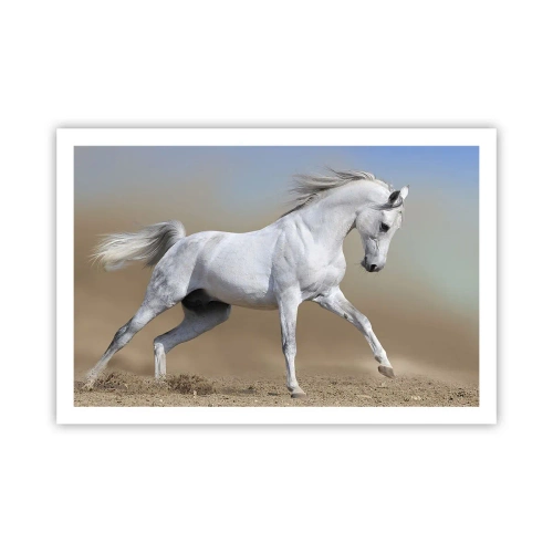 Poster - The Most Beautiful Arabic Tale - 91x61 cm