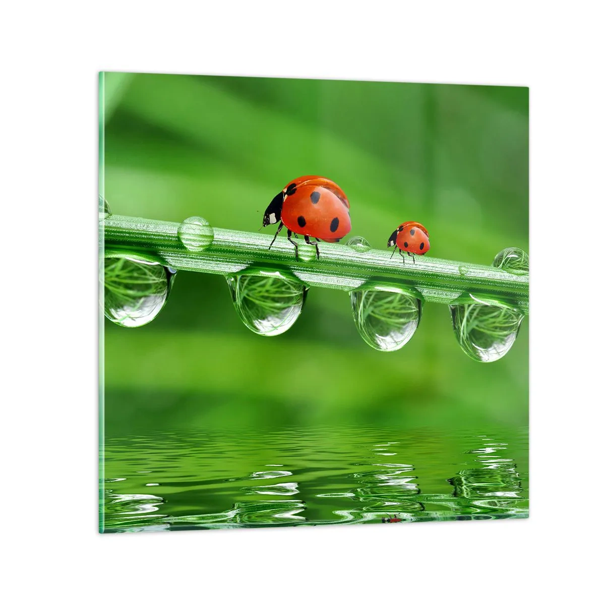 Glass picture - Summer Is on Its Way - 30x30 cm