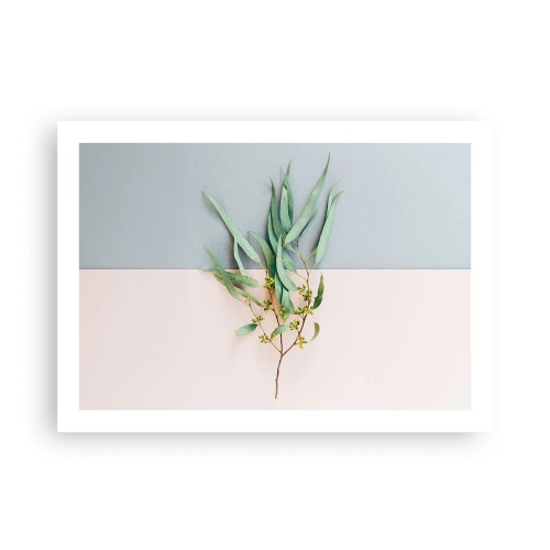 Poster - Pastel Subtlety - 70x50 cm