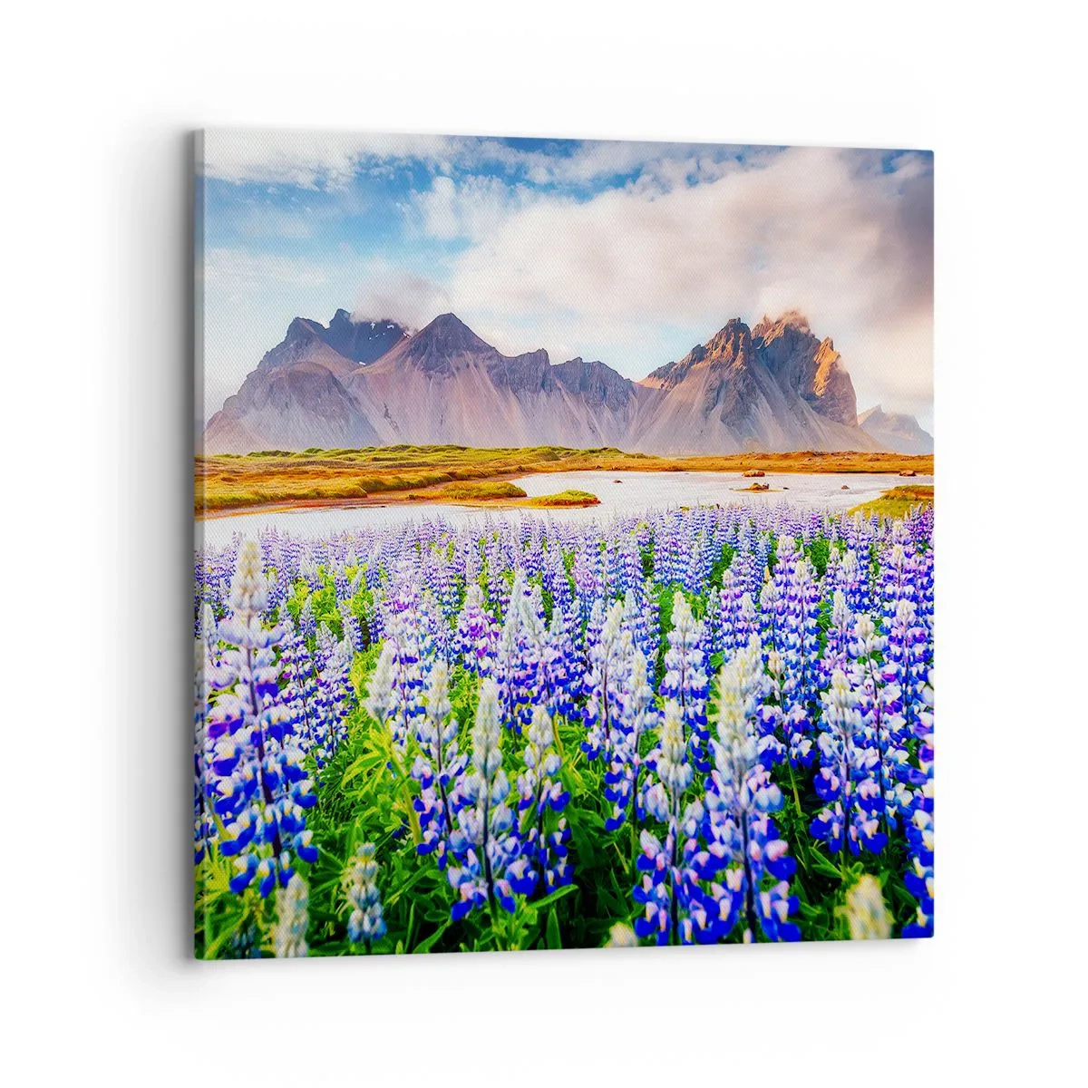 Canvas picture - Strength and Severity next to Sweetness - 70x70 cm