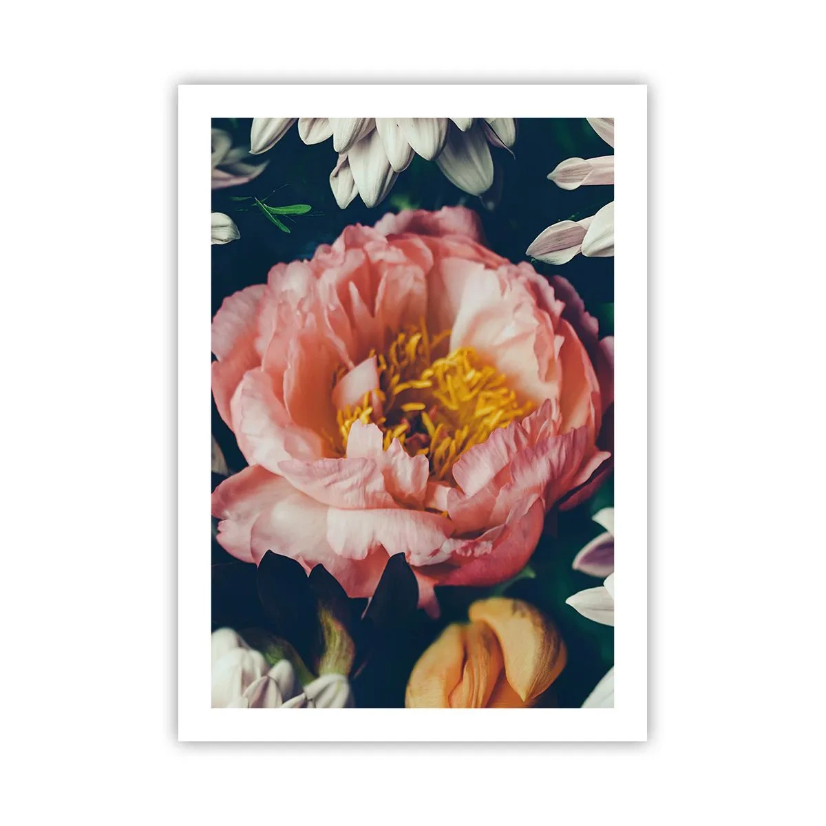 Poster - In Baroque Style - 50x70 cm