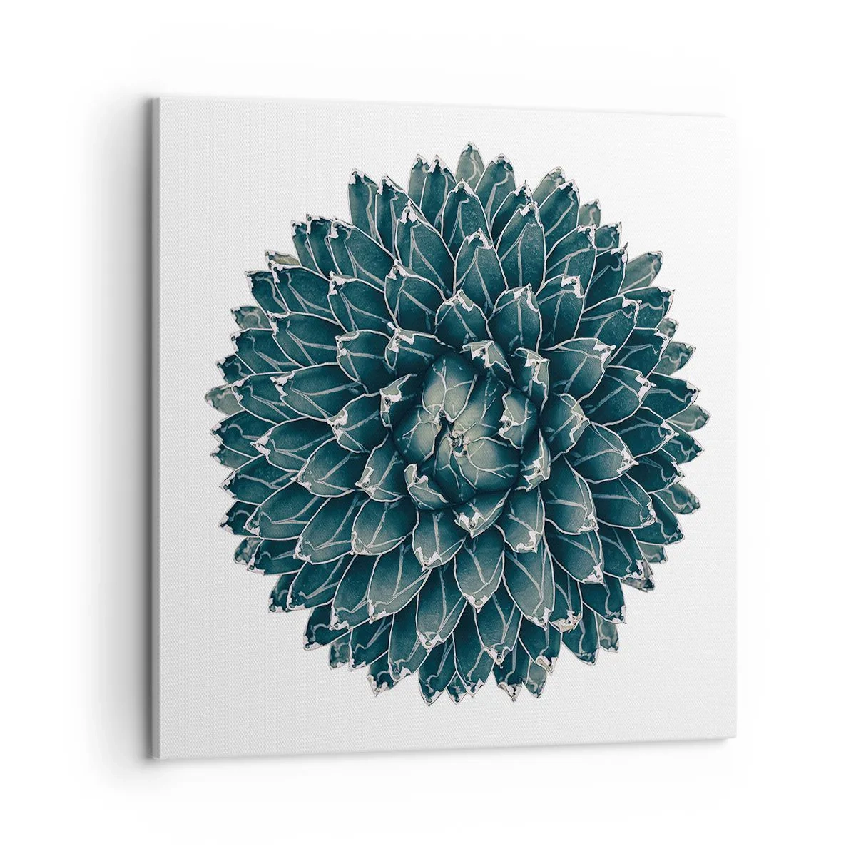 Canvas picture - Star of the Desert - 60x60 cm