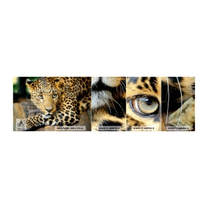 Photo Wallpaper Sample Self-Adhesive Deluxe Sticker - Don't be Shy, Come Closer - Animals, Panther, Wild cat - 100x30 cm