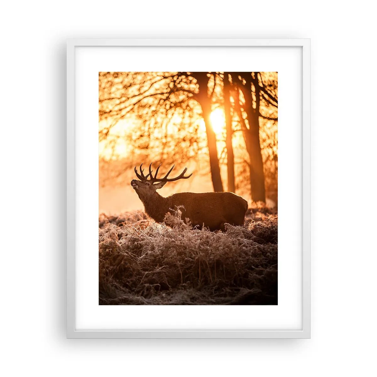 Poster in white frmae - Hunter's Dream - 40x50 cm