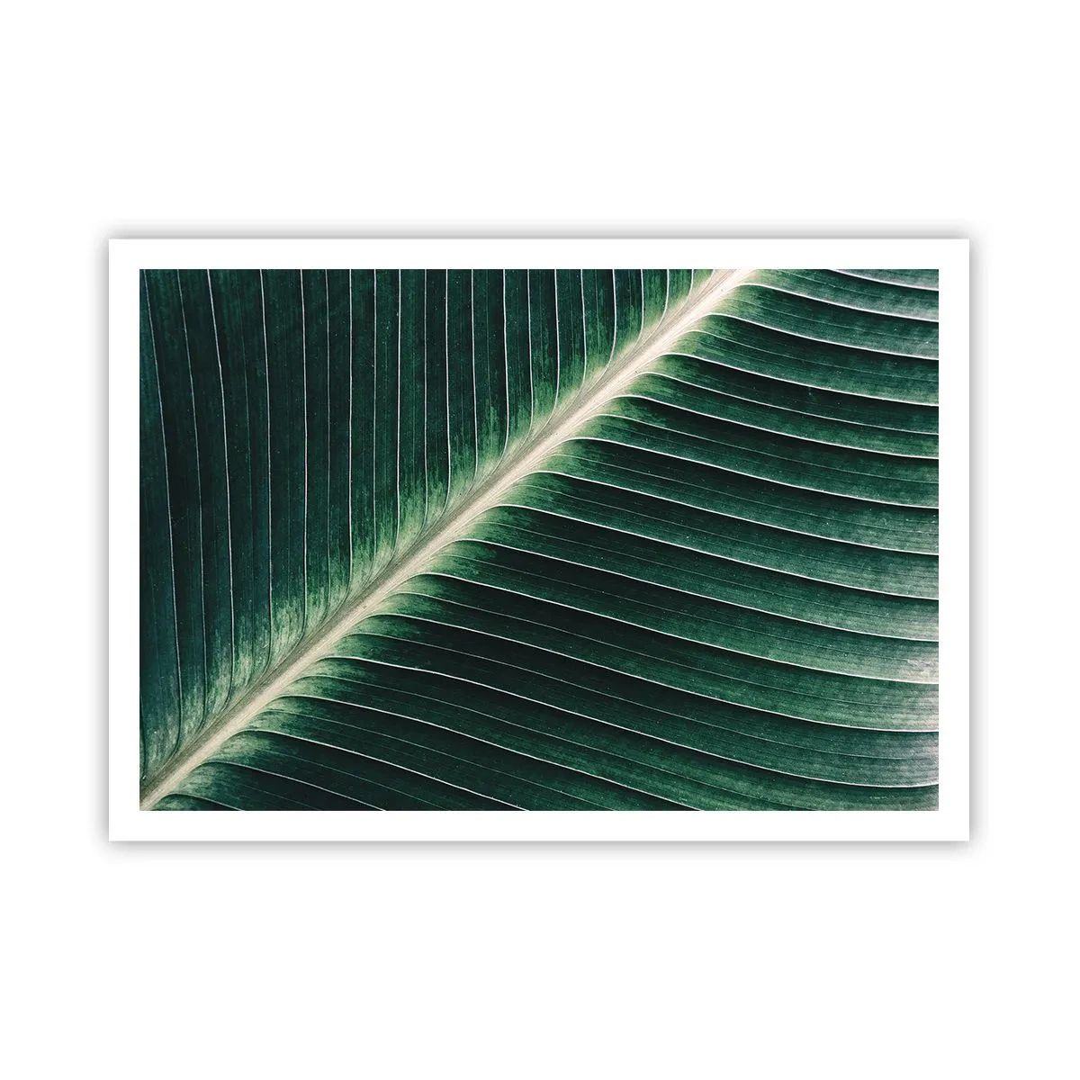 Poster - Rhythm of Nature - 100x70 cm